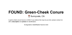 Found/Stray Unknown Bird last seen Tasman Dr & Morse Ave, Sunnyvale, CA 94089, Sunnyvale, CA 94086