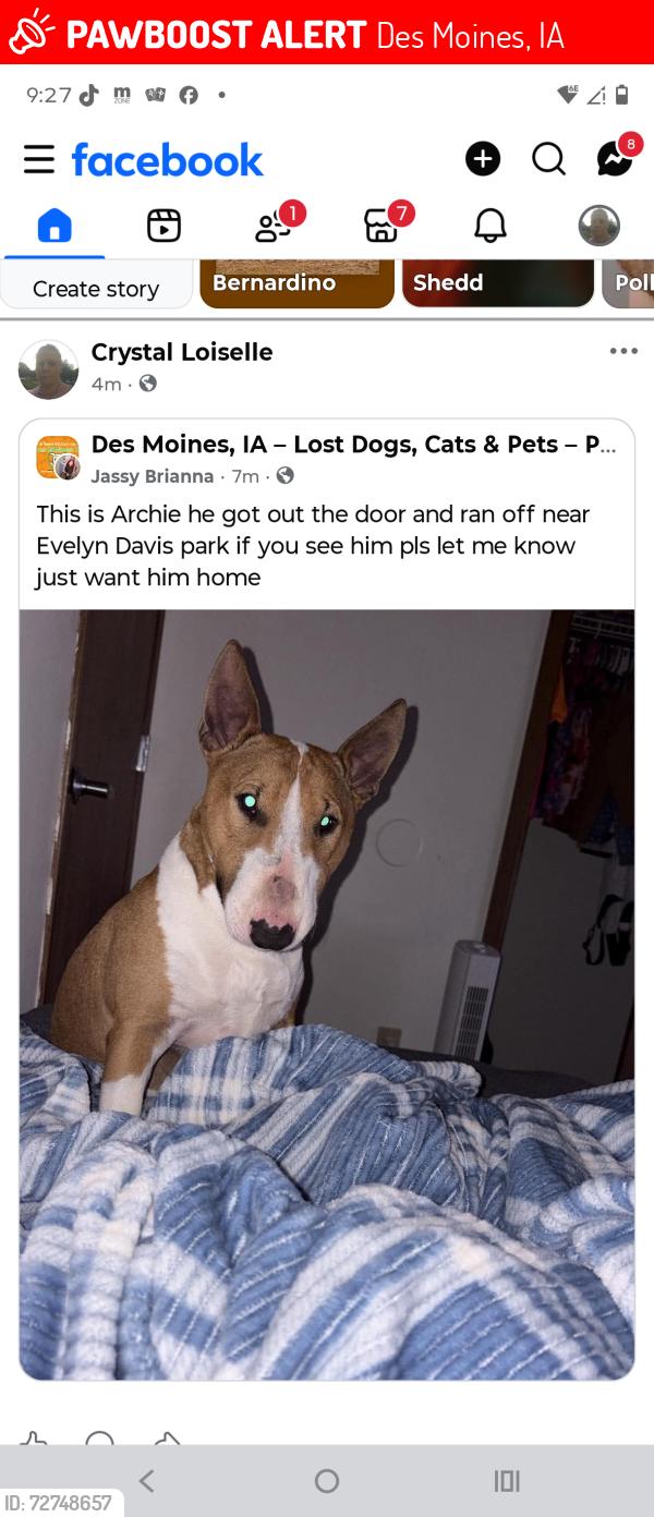 Lost Male Dog last seen Forest Ave and Clark St., Des Moines, IA 50314