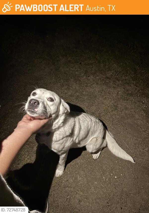 Found/Stray Male Dog last seen River ridge community , Austin, TX 78747