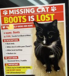 Lost Male Other last seen Northwestern highway , Franklin, MI 48334