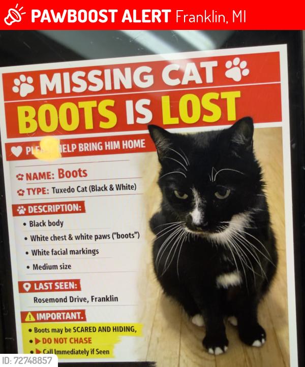Lost Male Other last seen Northwestern highway , Franklin, MI 48334