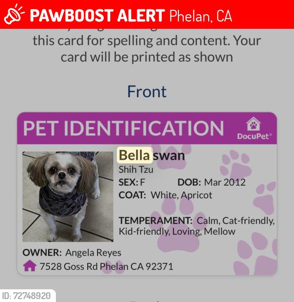 Lost Female Dog last seen Tumbleweed, Phelan, CA 92371