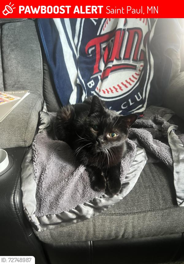 Lost Female Cat last seen White Bear Ave and Stillwater Ave, Saint Paul, MN 55119