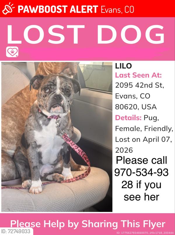 Lost Female Dog last seen Near 42ns st Evans co , Evans, CO 80620