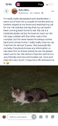 Lost Male Cat last seen Peach and Gettysburg, Clovis, CA 93612