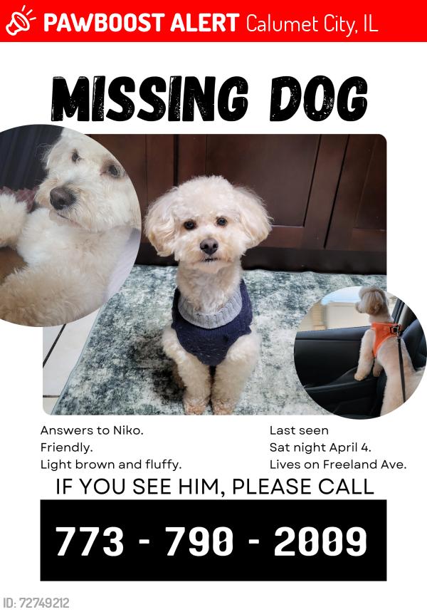 Lost Male Dog last seen FREELAND, Calumet City, IL 60409