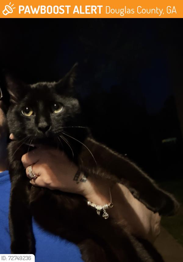 Found/Stray Unknown Cat last seen Chestnut log loop and chestnut log way, Douglas County, GA 30122