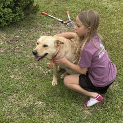 Found/Stray Female Dog last seen Rufus Johnson- grays creek nc, Fayetteville, NC 28306