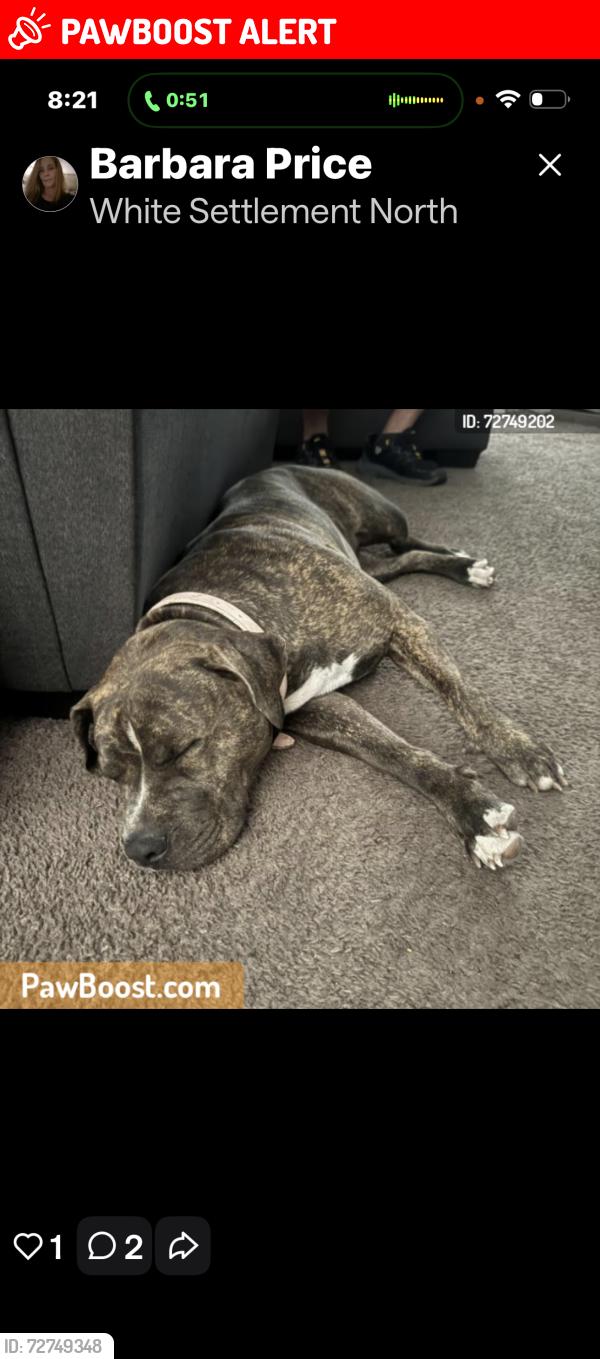 Lost Female Dog last seen Silver creek , White Settlement, TX 76108