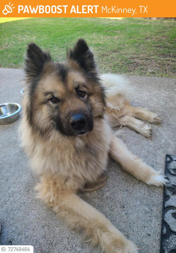 Found/Stray Male Dog last seen Mckissick park, McKinney, TX 75071