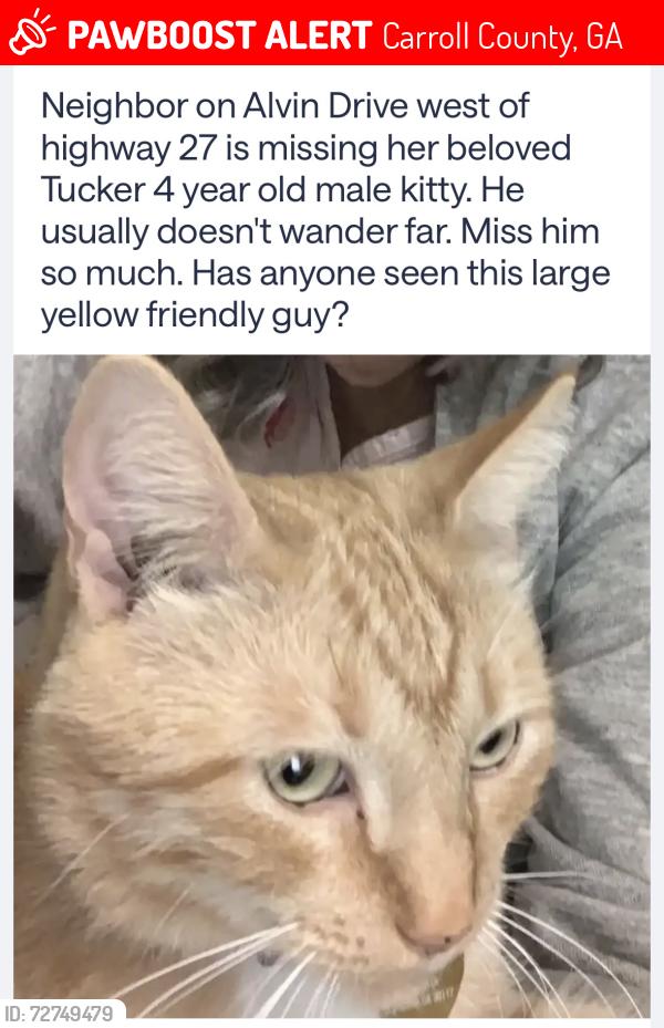 Lost Male Cat last seen Alvin Drive near the BP station, Carroll County, GA 30117