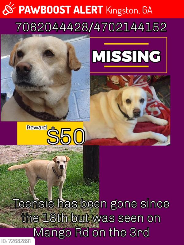 Lost Female Dog last seen Dykes Creek/Kingston highway, Kingston, GA 30145