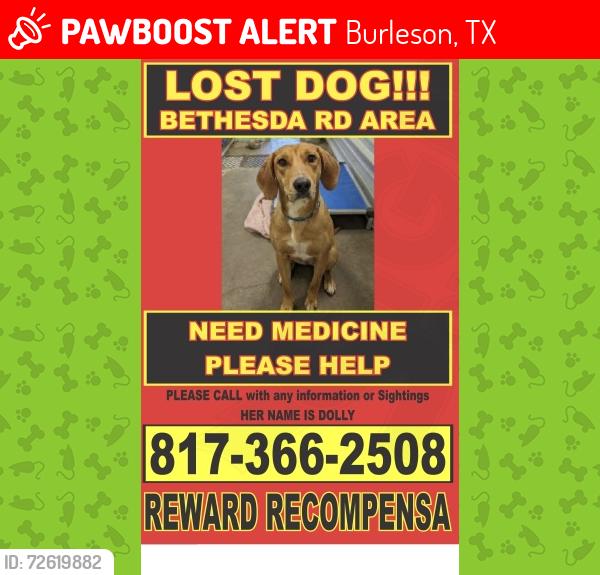 Lost Female Dog last seen E Bethesda Rd , Burleson, TX 76028