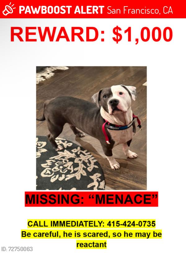 Lost Male Dog last seen Ran from dog park while owner was in hosp , San Francisco, CA 94110