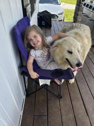 Lost Female Dog last seen Nuway circle, Lenoir NC, Lenoir, NC 28645