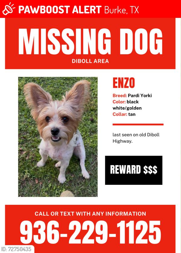 Lost Male Dog last seen Burke Texas , Burke, TX 75941