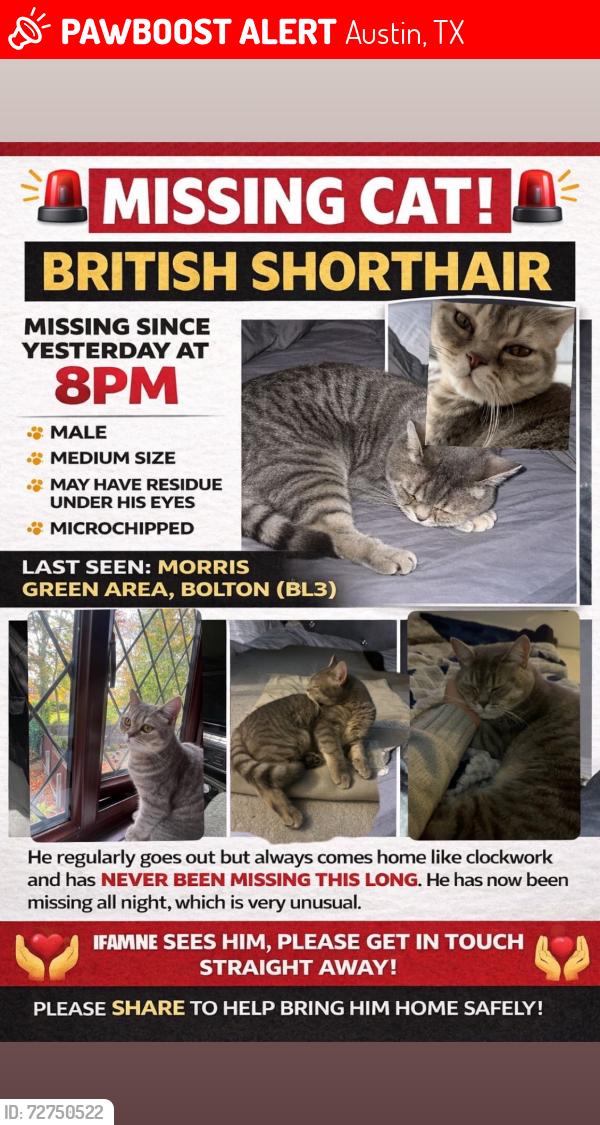 Lost Male Cat last seen Bolton, Austin, TX 78757