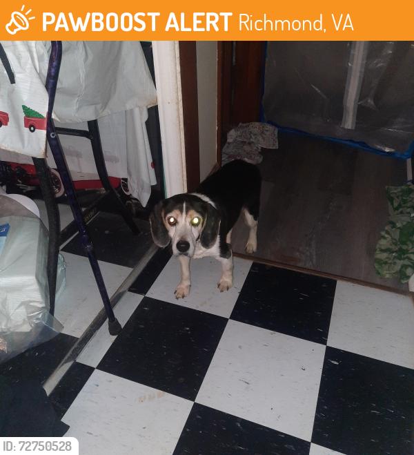 Found/Stray Male Dog last seen rt 10 Cogbill rd, Richmond, VA 23234
