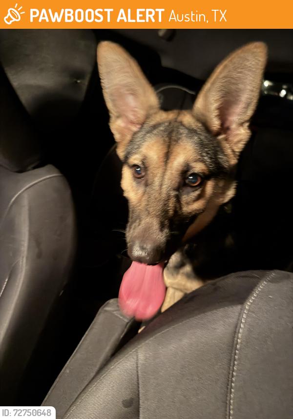 Found/Stray Female Dog last seen I 35 and w cannon , Austin, TX 78744