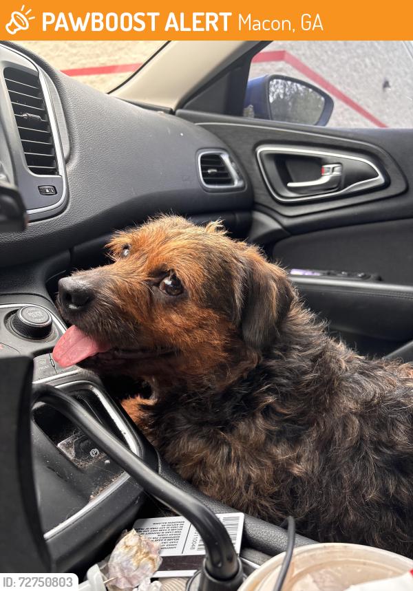 Found/Stray Male Dog last seen Dumped at this address, Macon, GA 31204
