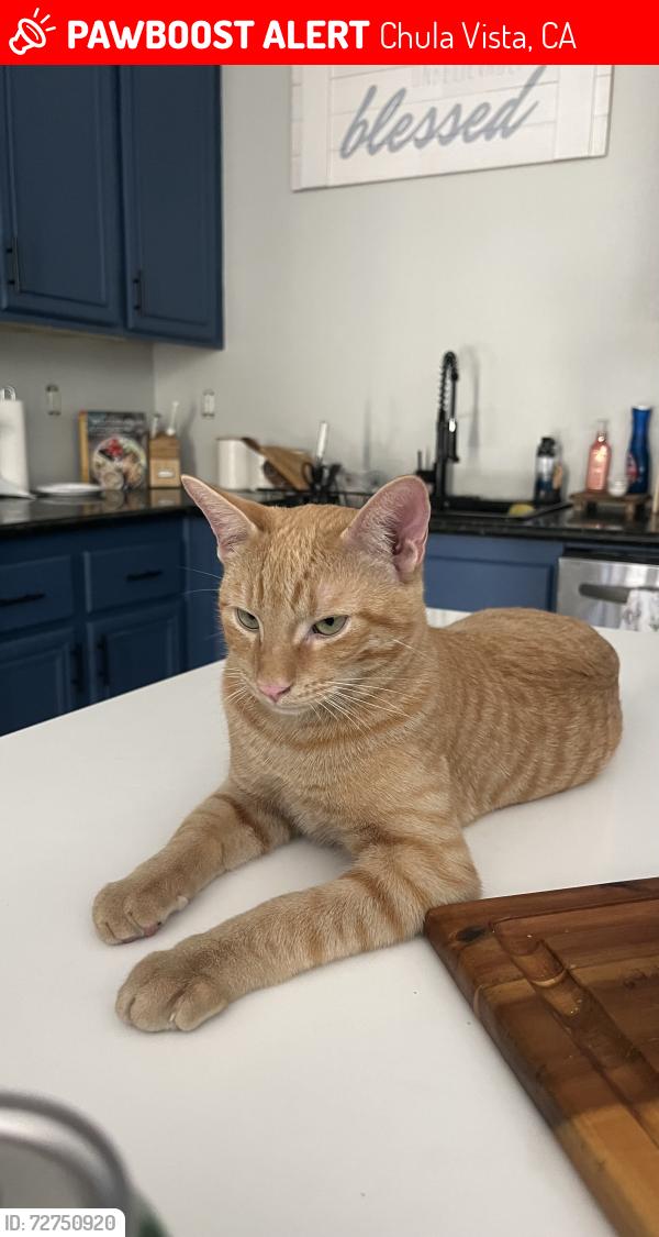 Lost Male Cat last seen Near Wooden Valley st, Chula Vista, CA 91913