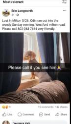 Lost Male Dog last seen Near Bernier drive , Milton, VT 05468