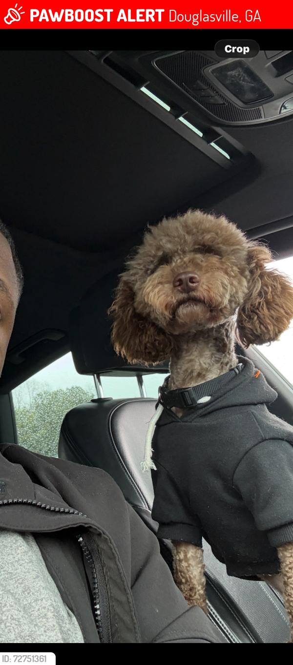 Lost Male Dog last seen Chow, Douglasville, GA 30135