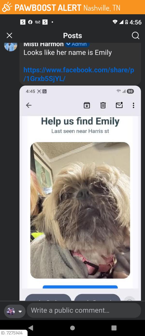 Found/Stray Female Dog last seen Harris st, Nashville, TN 37115