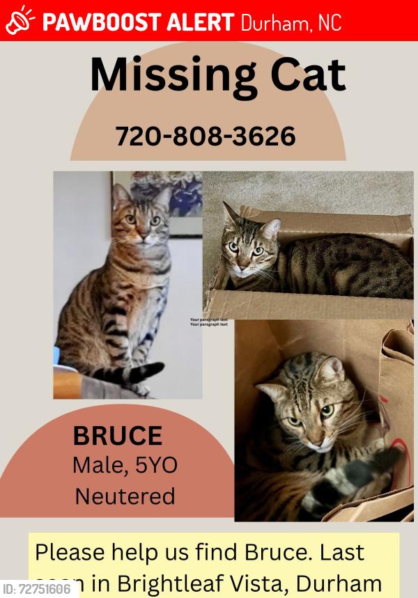 Lost Male Cat last seen Near Cross Blossom Rd. Durham, NC 27703, Durham, NC 27703