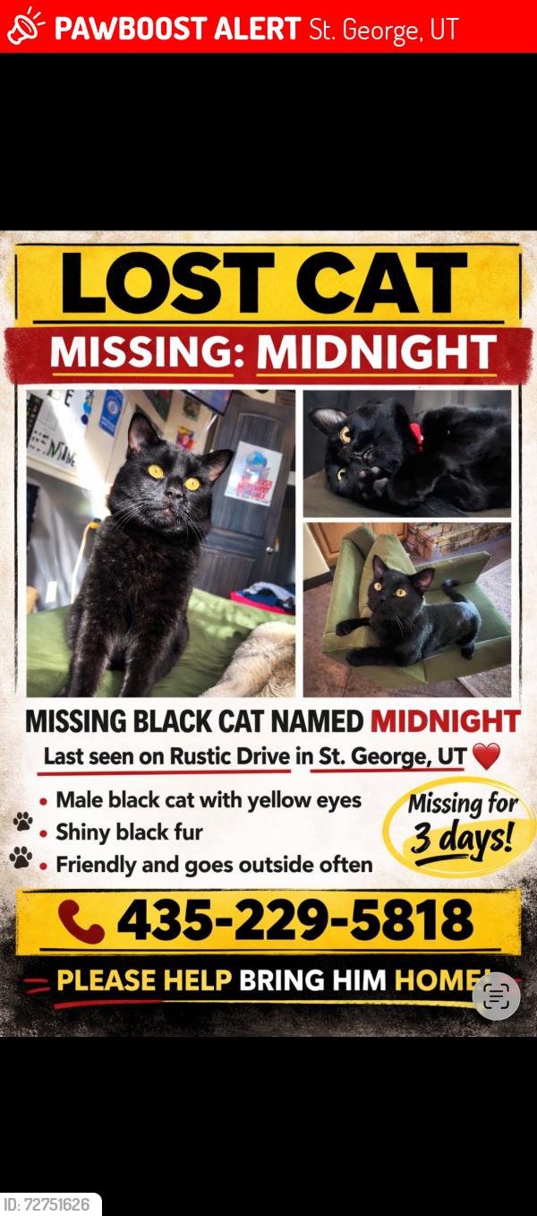 Lost Male Cat last seen Near e rustic drive , St. George, UT 84790