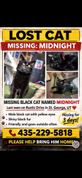 Lost Male Cat last seen Near e rustic drive , St. George, UT 84790