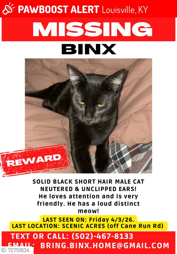 Lost Male Cat last seen greenwood boat docks , Louisville, KY 40258
