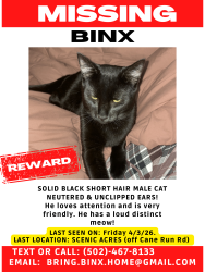 Lost Male Cat last seen greenwood boat docks , Louisville, KY 40258