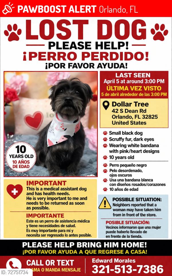 Lost Male Dog last seen Near S Dean Rd Orlando, FL  32825 United States, Orlando, FL 32825