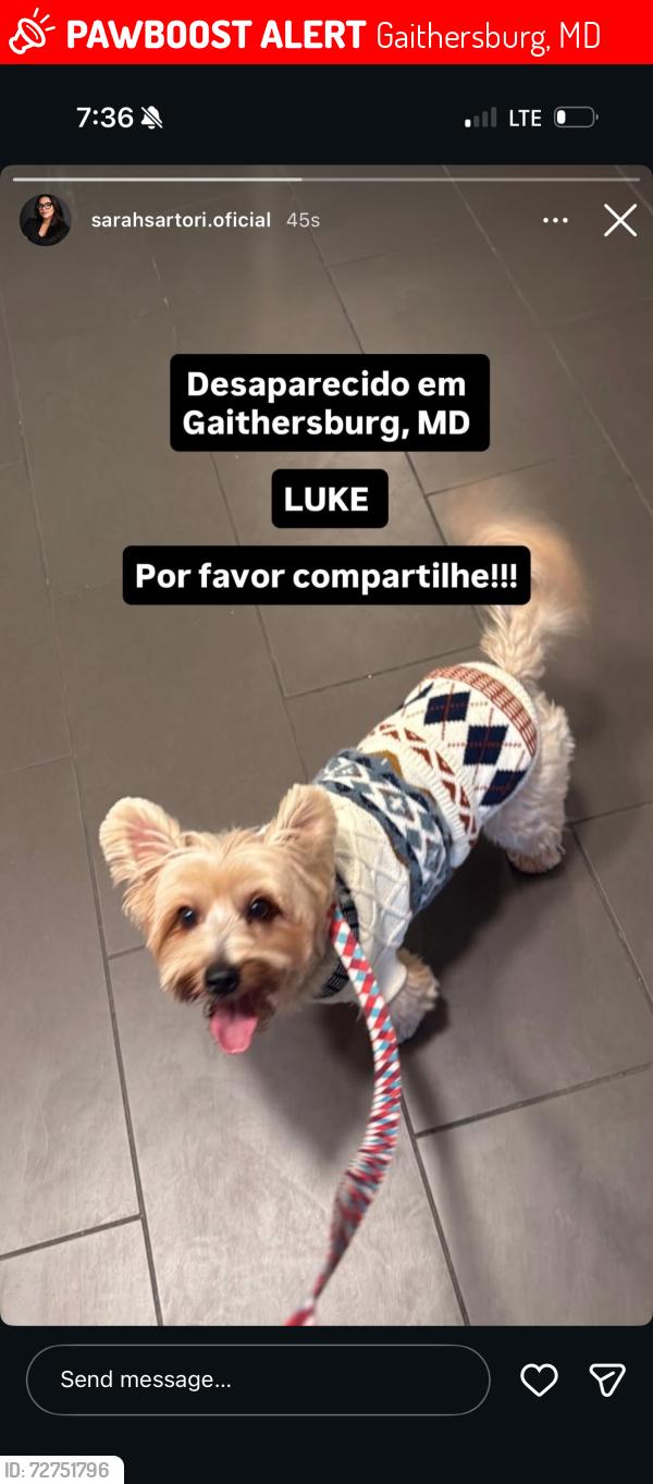 Lost Male Dog last seen gaithersburg high school , Gaithersburg, MD 20877