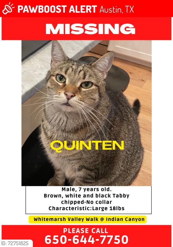 Lost Male Cat last seen Whitemarsh @ Indian Canyon, Austin, TX 78746