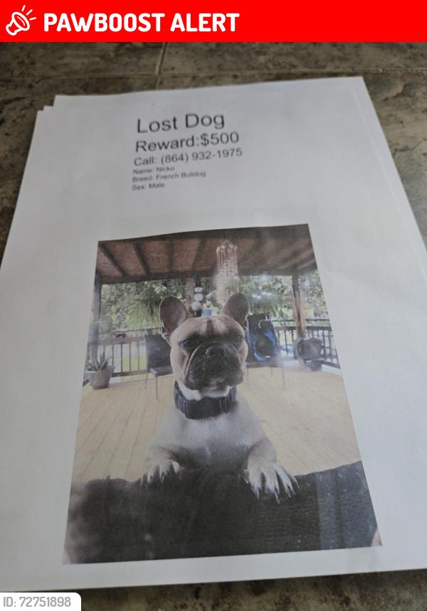 Lost Male Dog last seen Glenna dr roads, Anderson County, SC 29626
