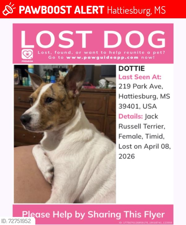 Lost Female Dog last seen Hardy/4th street/ Quinn rd/pearl avenue , Hattiesburg, MS 39401
