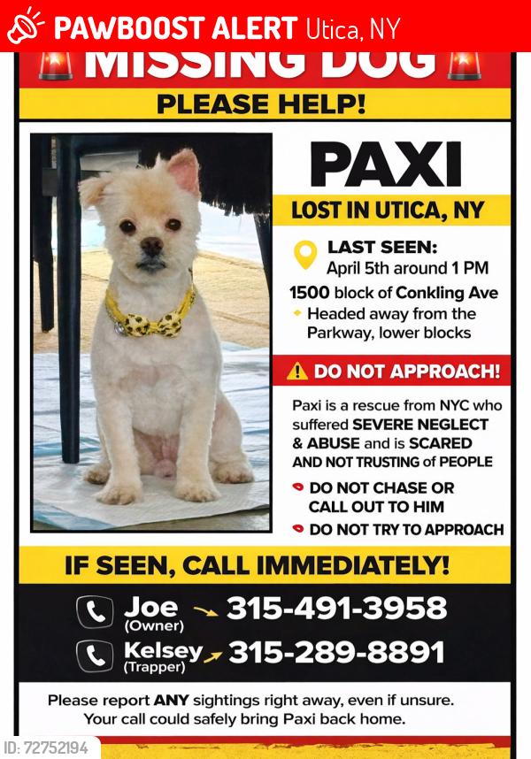Lost Male Dog last seen Between Eagle and Arthur, Utica, NY 13501