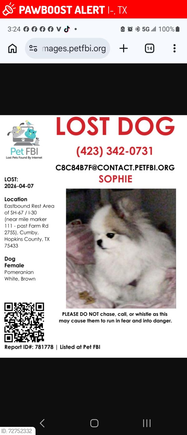 Lost Female Dog last seen Rest area east bound , I-30, TX 75433