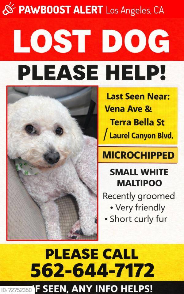 Lost Male Dog last seen Vena Ave & Terra Bella St /Laurel Canyon Blvd., Los Angeles, CA 91352