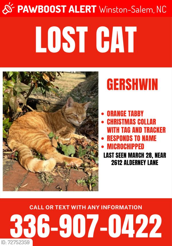 Lost Male Cat last seen Bolton Park, Ardmore Neighborhood, Stonewood Drive, Winston-Salem, NC 27103