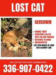 Lost Male Cat last seen Bolton Park, Ardmore Neighborhood, Stonewood Drive, Winston-Salem, NC 27103