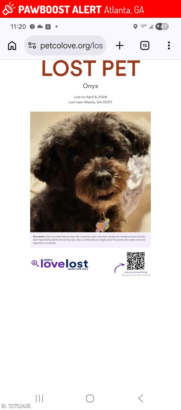 Lost Female Dog last seen Hoses Williams and Memorial Dr., Atlanta, GA 30317
