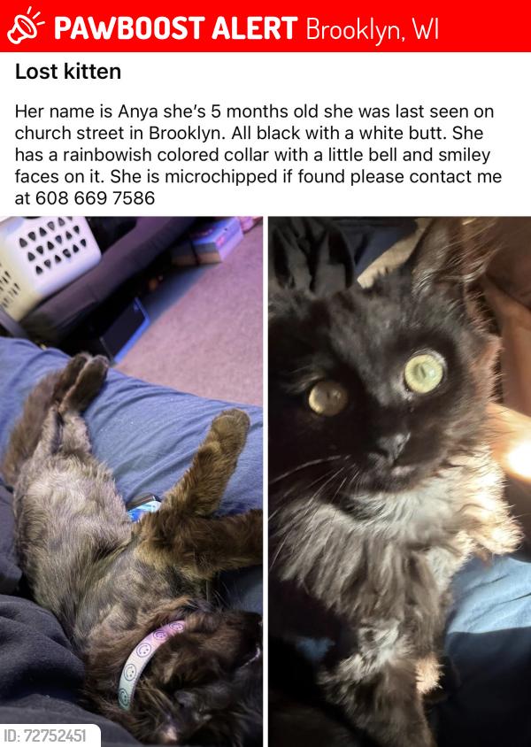 Lost Female Cat last seen Kerch St, Smithfield Park., Brooklyn, WI 53521