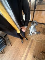 Lost Male Dog last seen Southgate Ave and Martin St, Nashville, TN 37203
