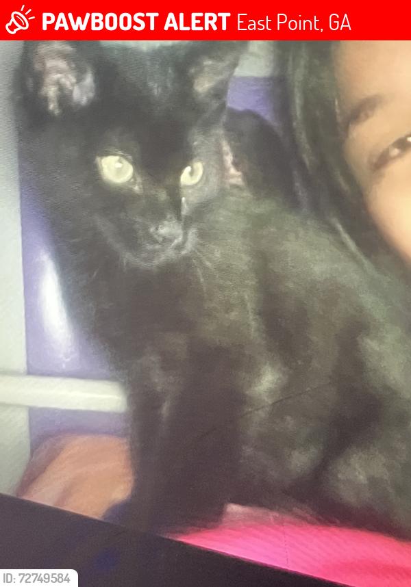 Lost Unknown Cat last seen Larose st and Taylor ave in east point Georgia 30344, East Point, GA 30344