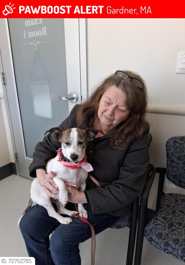 Lost Male Dog last seen Partridge St. West Broadway and Oak st, Gardner, MA 01440