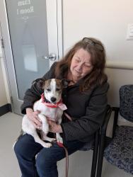 Lost Male Dog last seen Partridge St. West Broadway and Oak st, Gardner, MA 01440