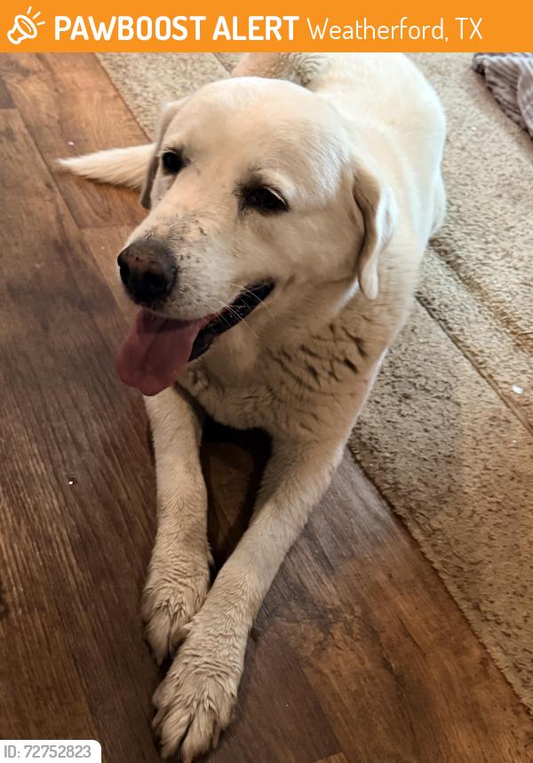 Found/Stray Female Dog last seen Near interstate 20 w weatherford tx 76088, Weatherford, TX 76088